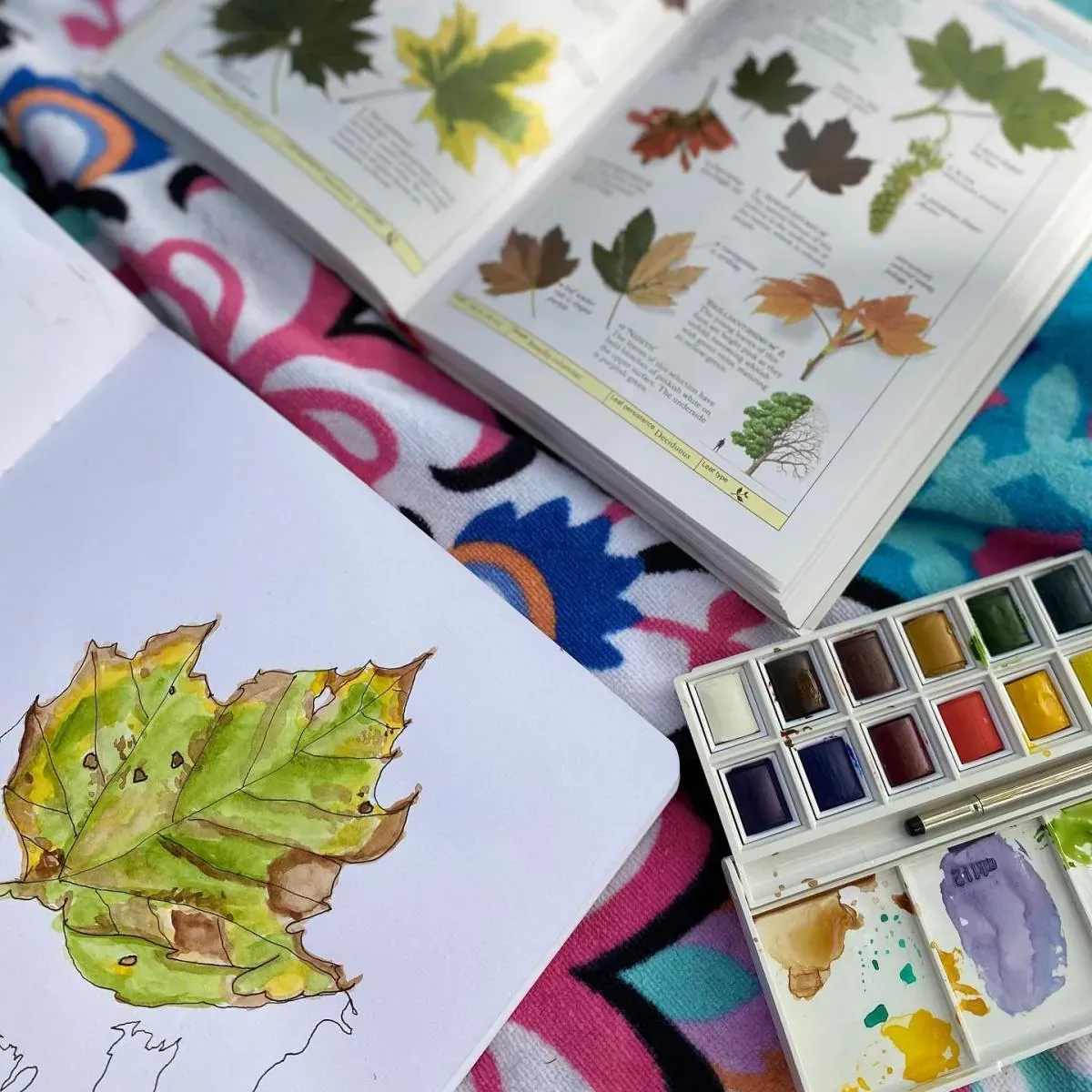 Nature study journal with leaf prints from Charlotte Mason learning at Cimarron